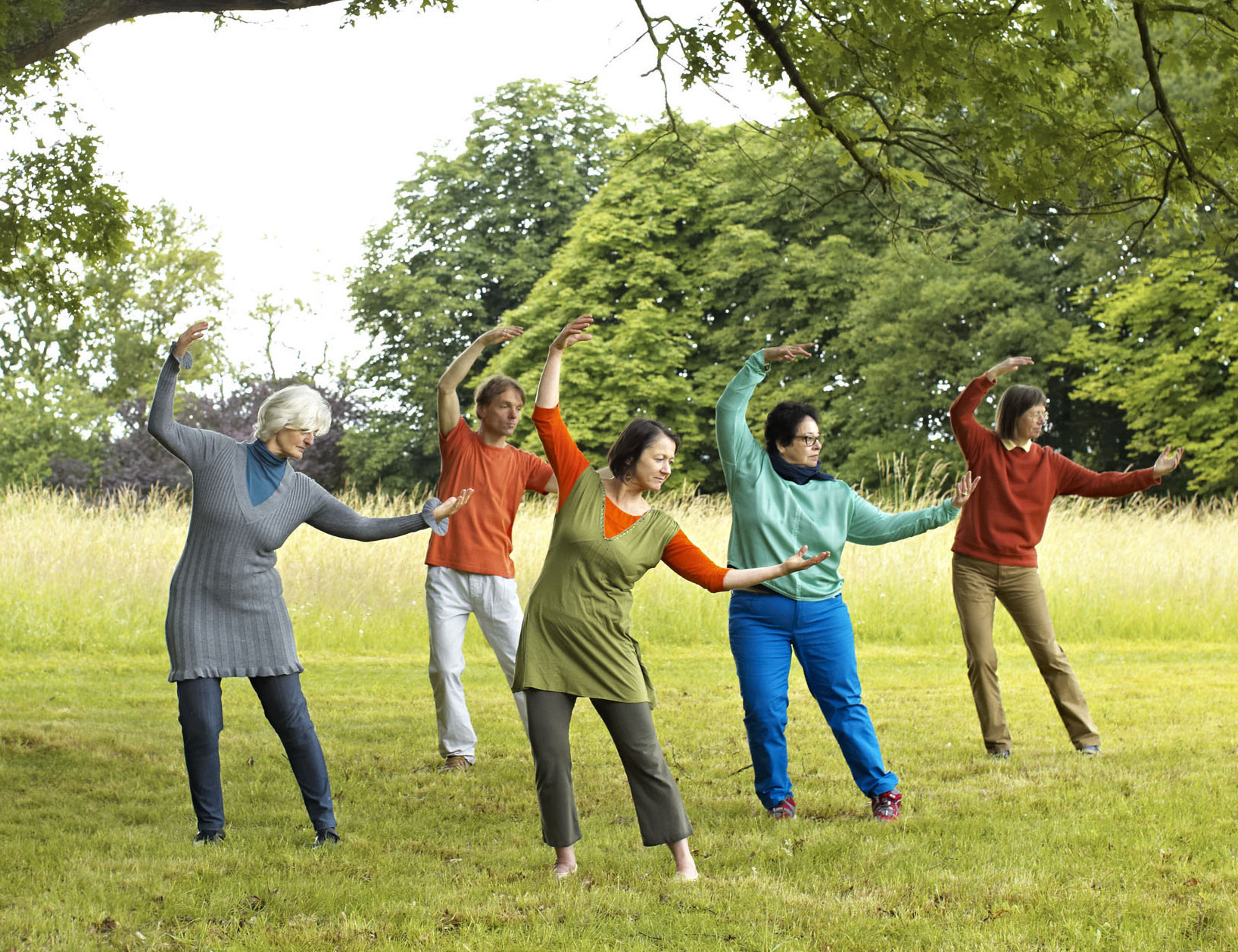 Qigong im Park eine Gruppe von Personen stehen auf einer Wiese und neigen sich mit geöffneten Armen zur Seite